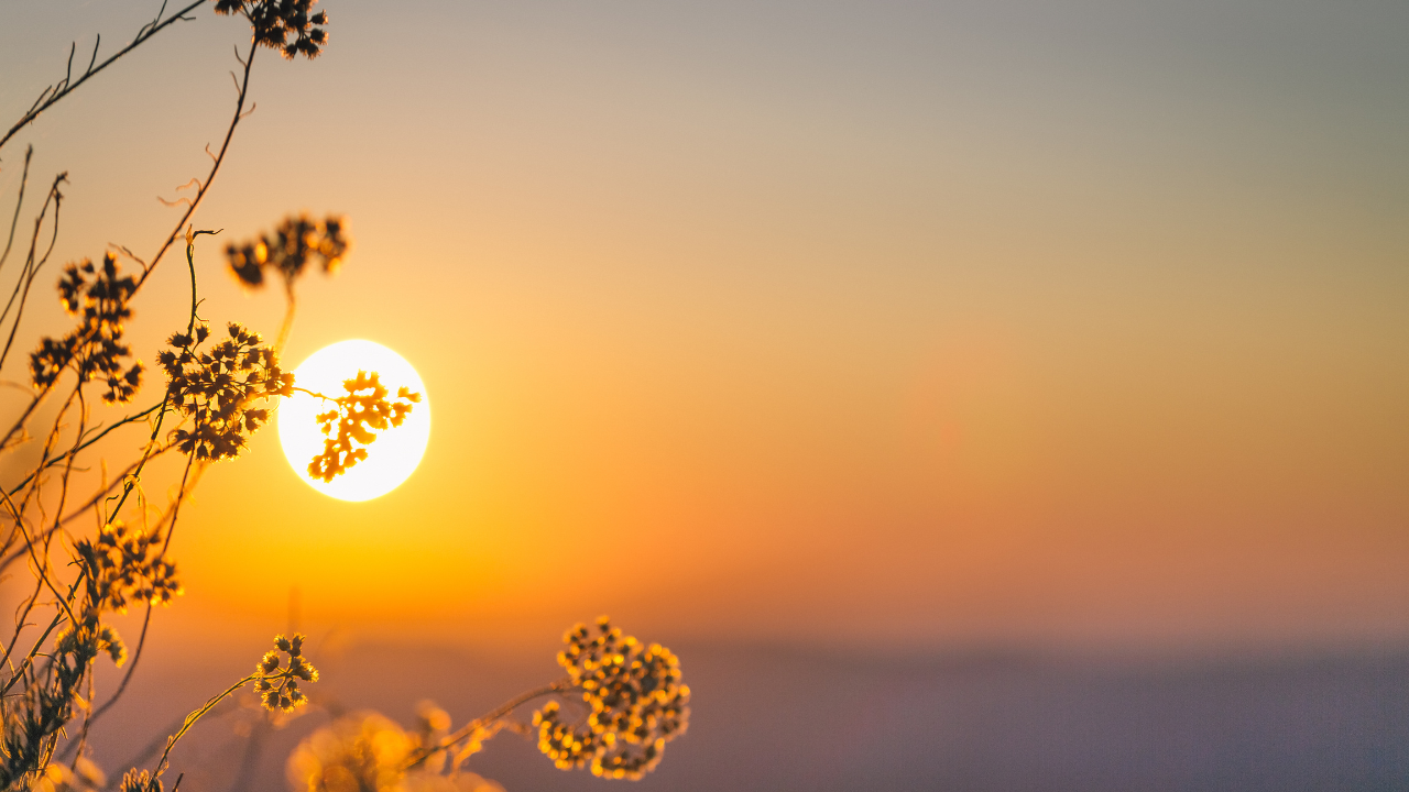 Хората много пътуват и се интересуват от прогнозите за времето.