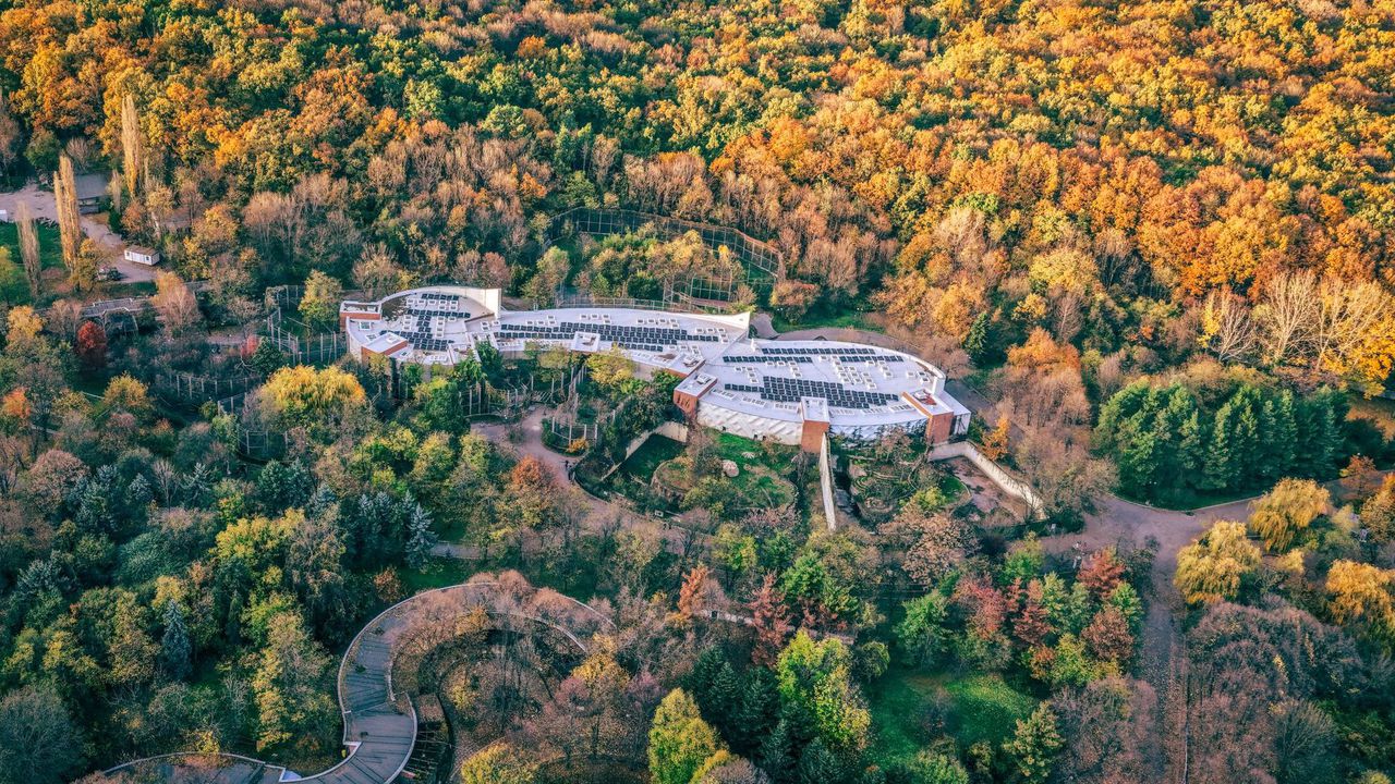 Зоопаркът в София вече разполага с нова фотоволтаична електрическа централа