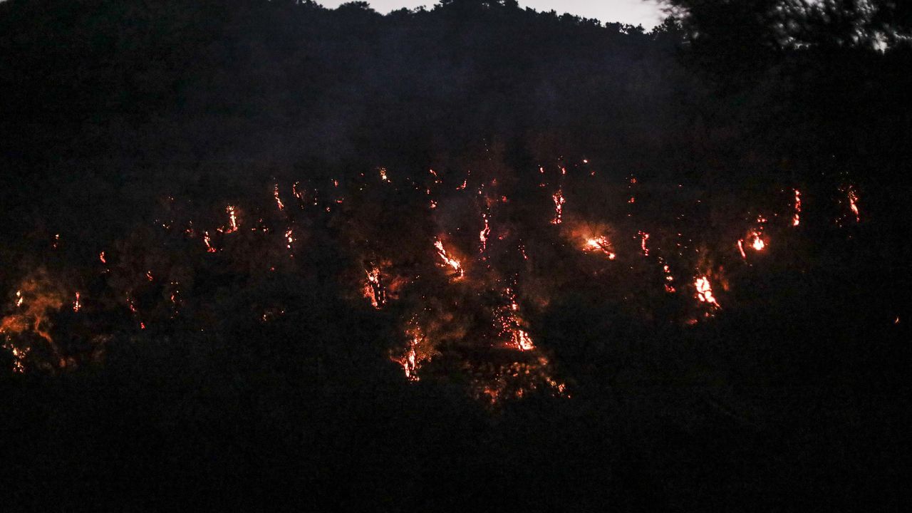 57-годишен пироман си призна, че е подпалил остров Лесбос от