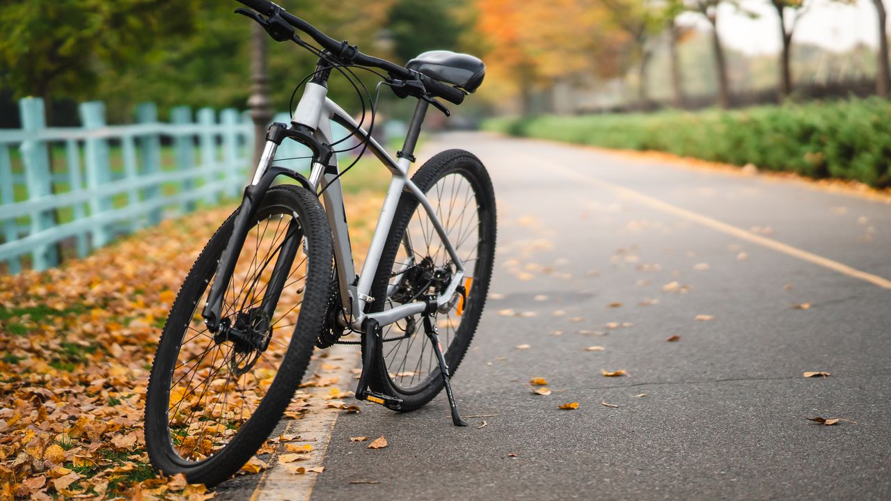 Броят на белгийските служители, които стигат до работното си място