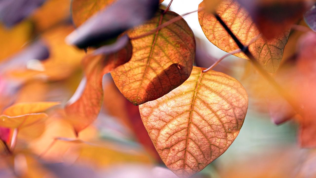 Уикенд прогноза за времето