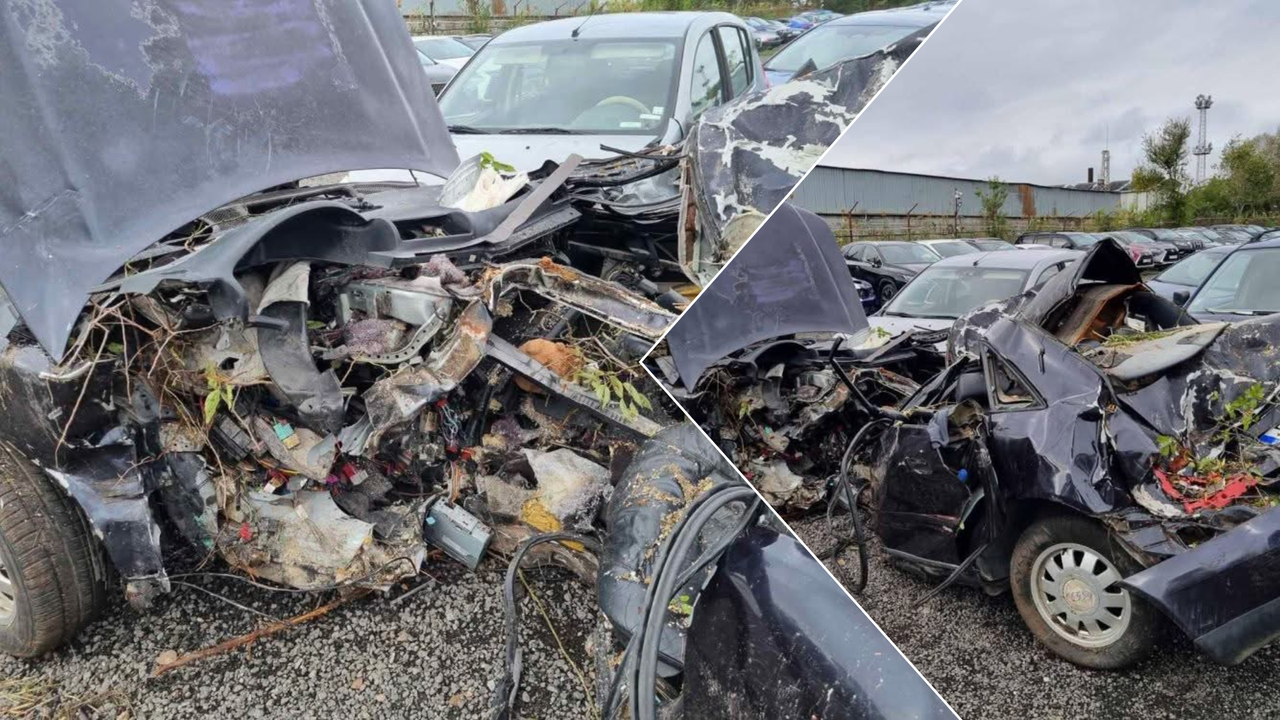 Един човек е загинал, а 22-ма са ранени при катастрофи в страната през последното денонощие