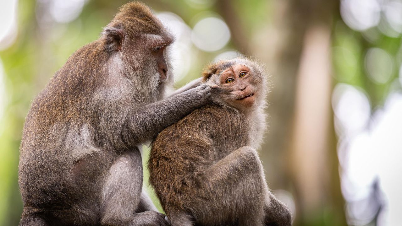 Учените си поставили за цел да установят кога са се