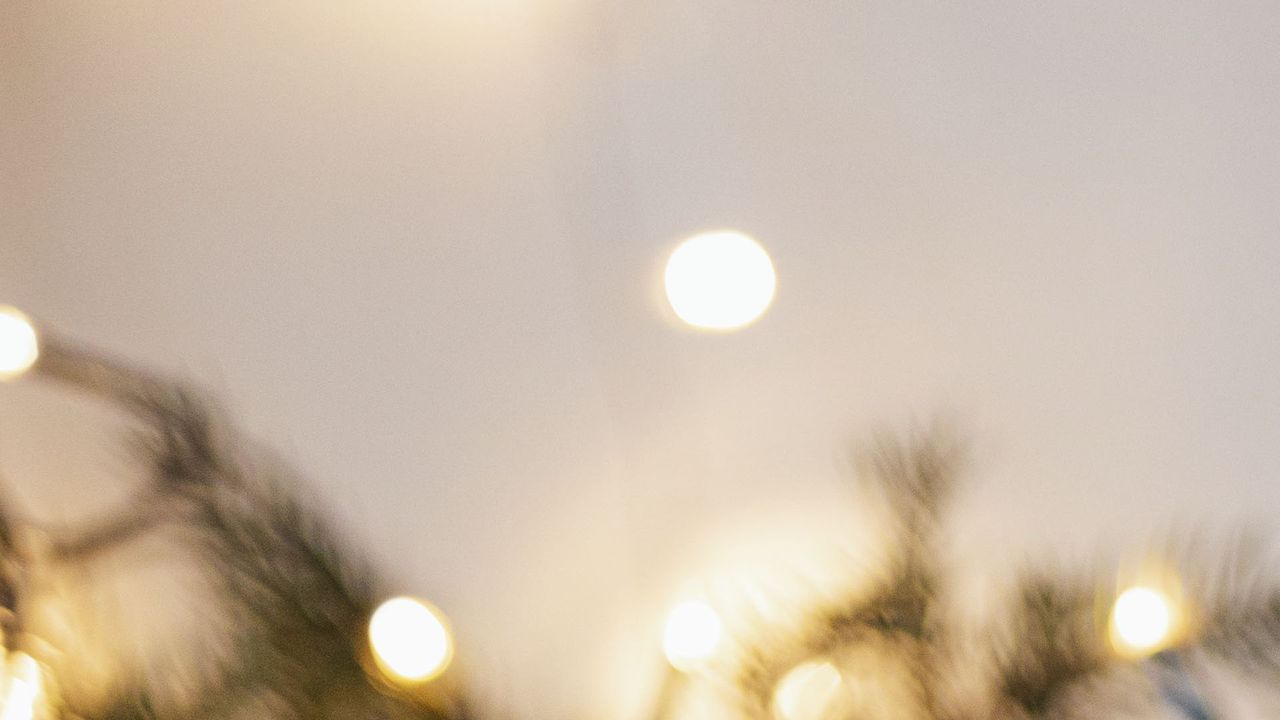 В Димитровград: Грейват светлините на най-голямото живо коледно дърво в Европа