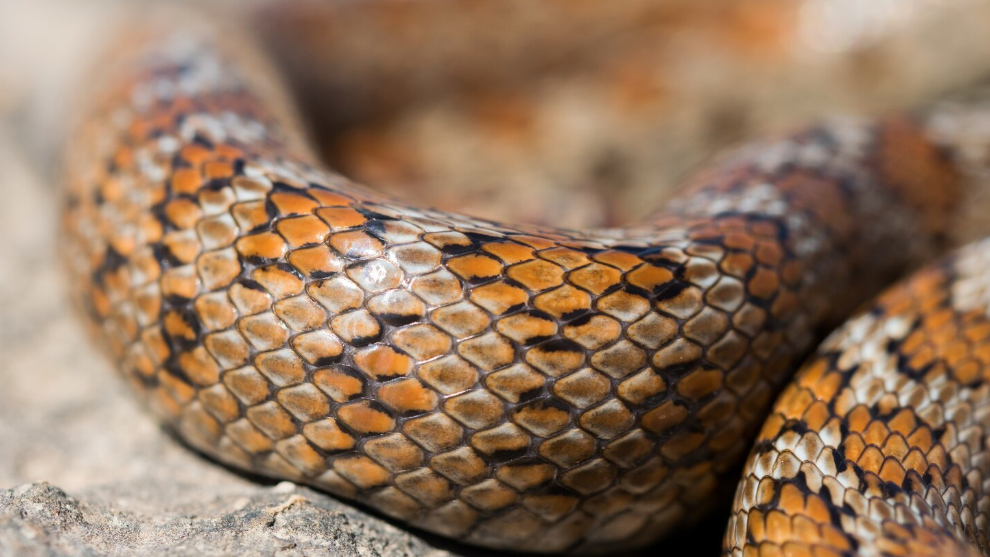 Незаконното му притежание е не само административно нарушение, но и