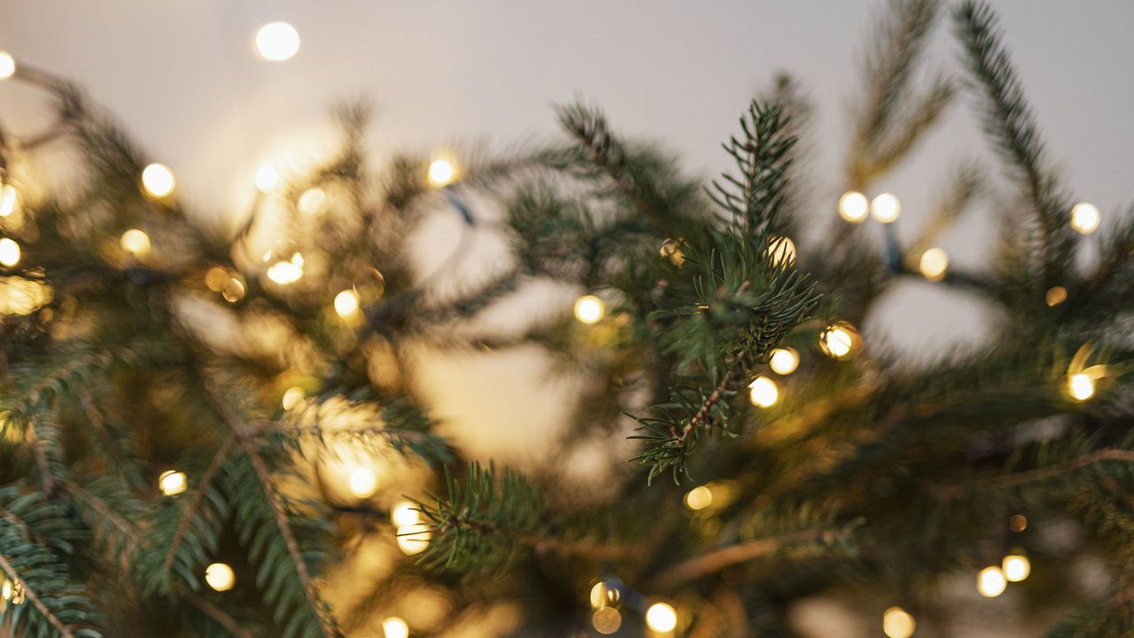 Пристигането на дългоочаквания гост отново ще бъде изключително впечатляващо и