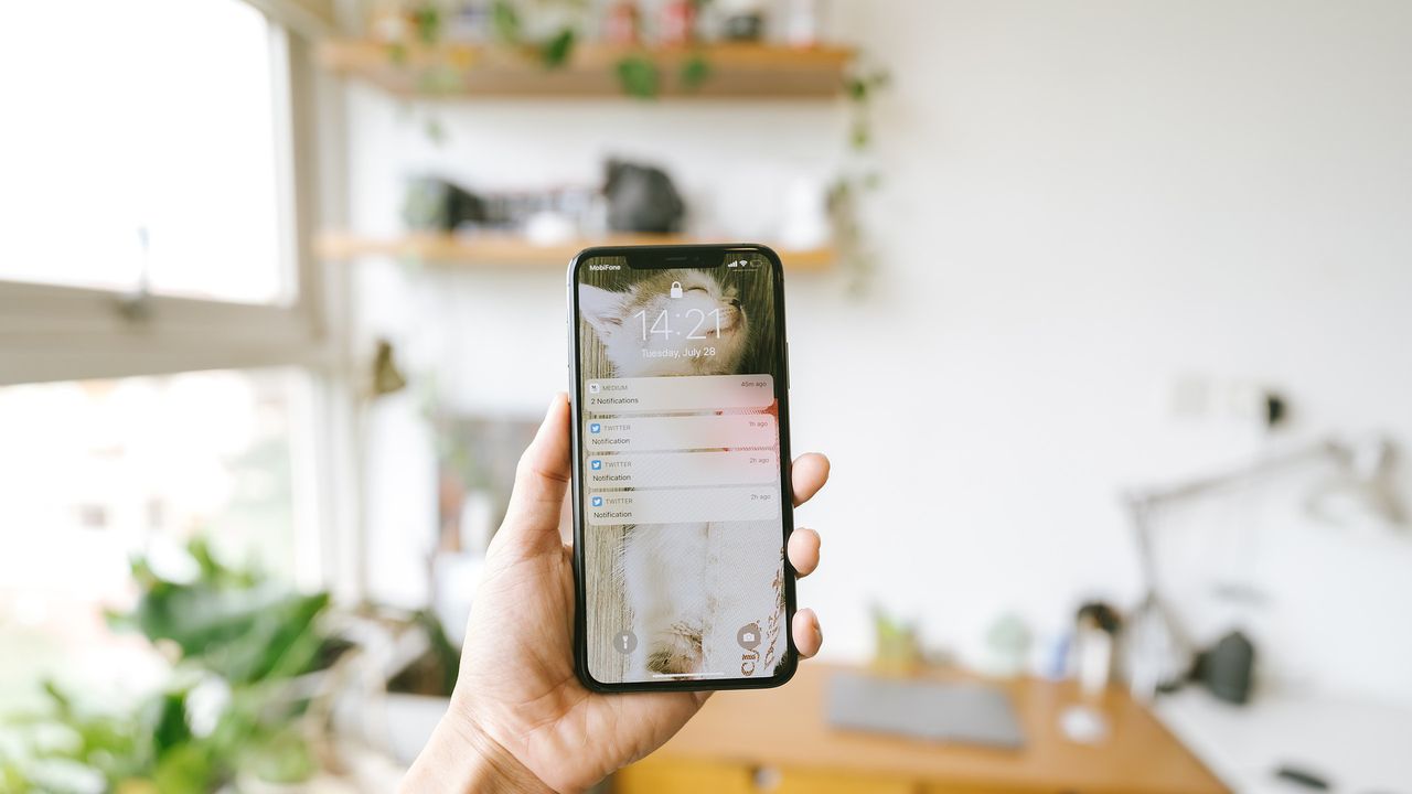 Според футуролога Том Чийзрайт и астрофизика д-р Аластер Рейнолдс, серия