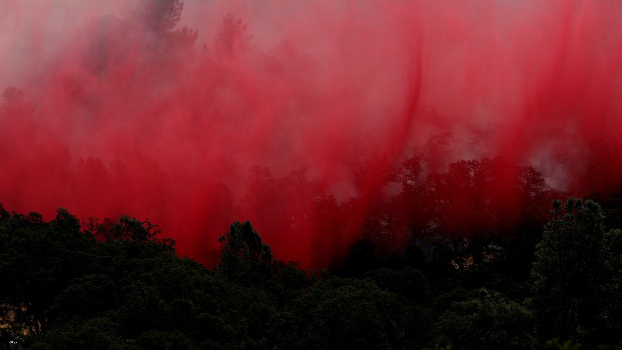 Пожар пламна край асеновградското село Горнослав