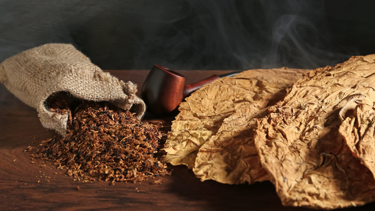 Държавата продължава да подкрепя финансово  тютюнопроизводството, тъй като секторът има