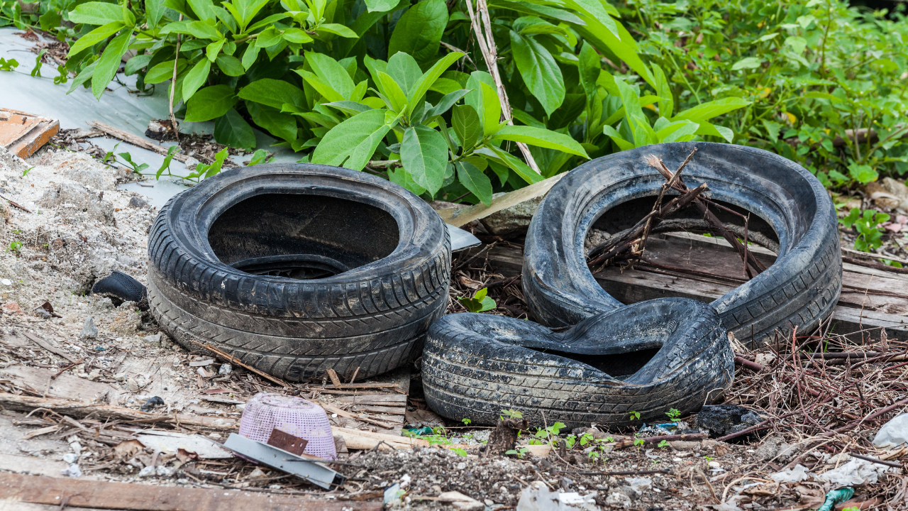 Дойде време за разчистване на дворовете. Столичани, живеещи в къщи,