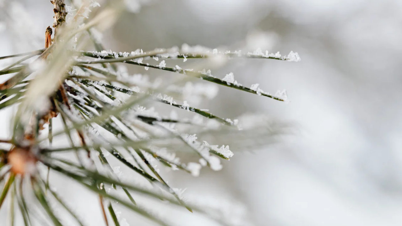 Валежите спират днес, следобед ще има слънчеви часове, но ще
