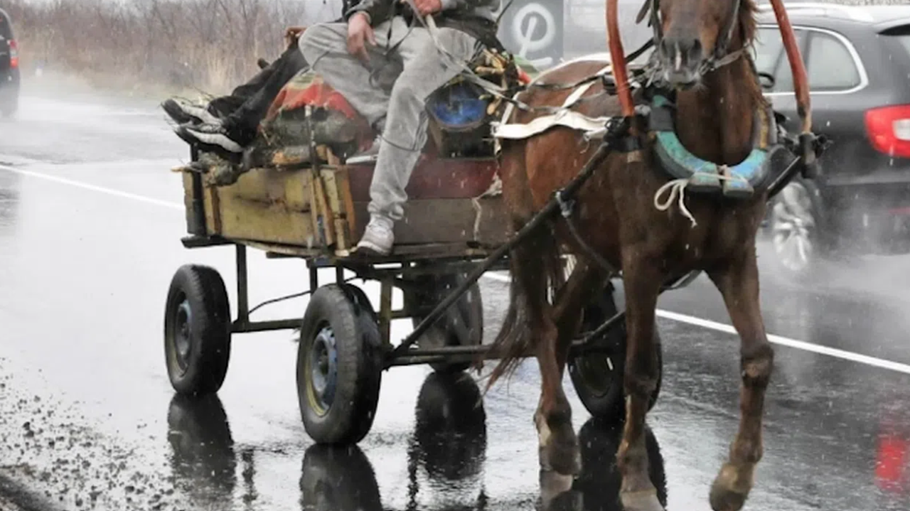 Жена пострада тежко след катастрофа с каруца и кола