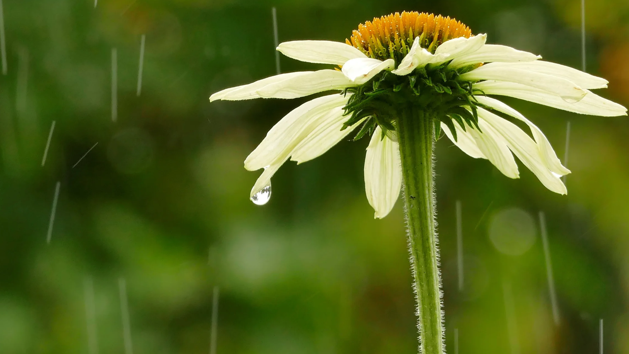 Синоптик: Малко валежи в петък, а след това...