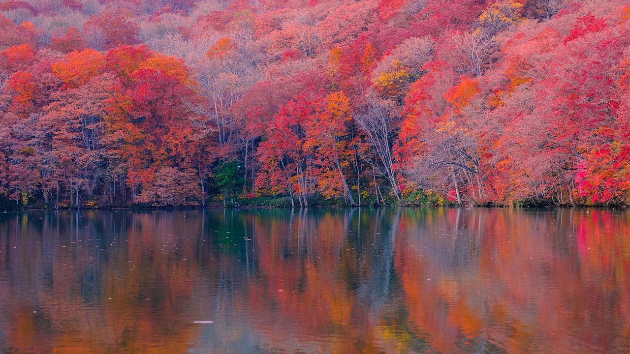 В доклада обаче се отбелязва, че горските екосистеми по света