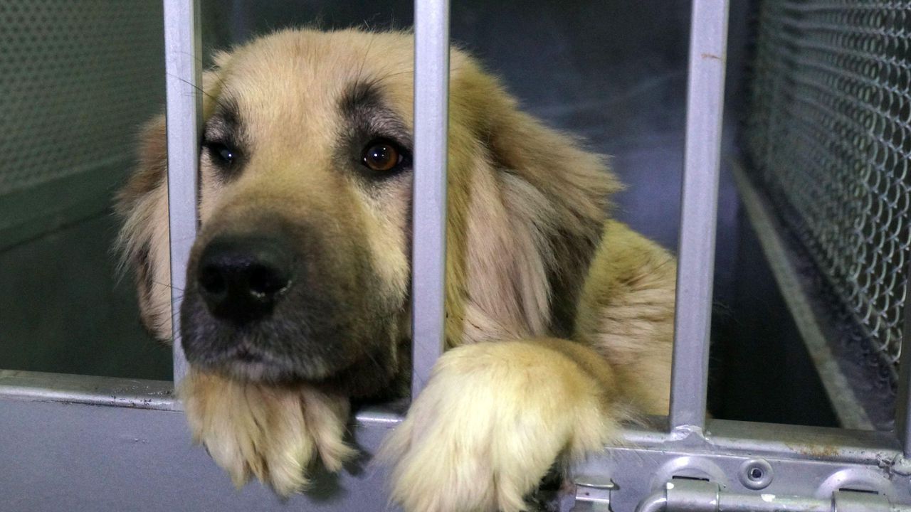 От началото на месеца тече кампания за набиране на топли