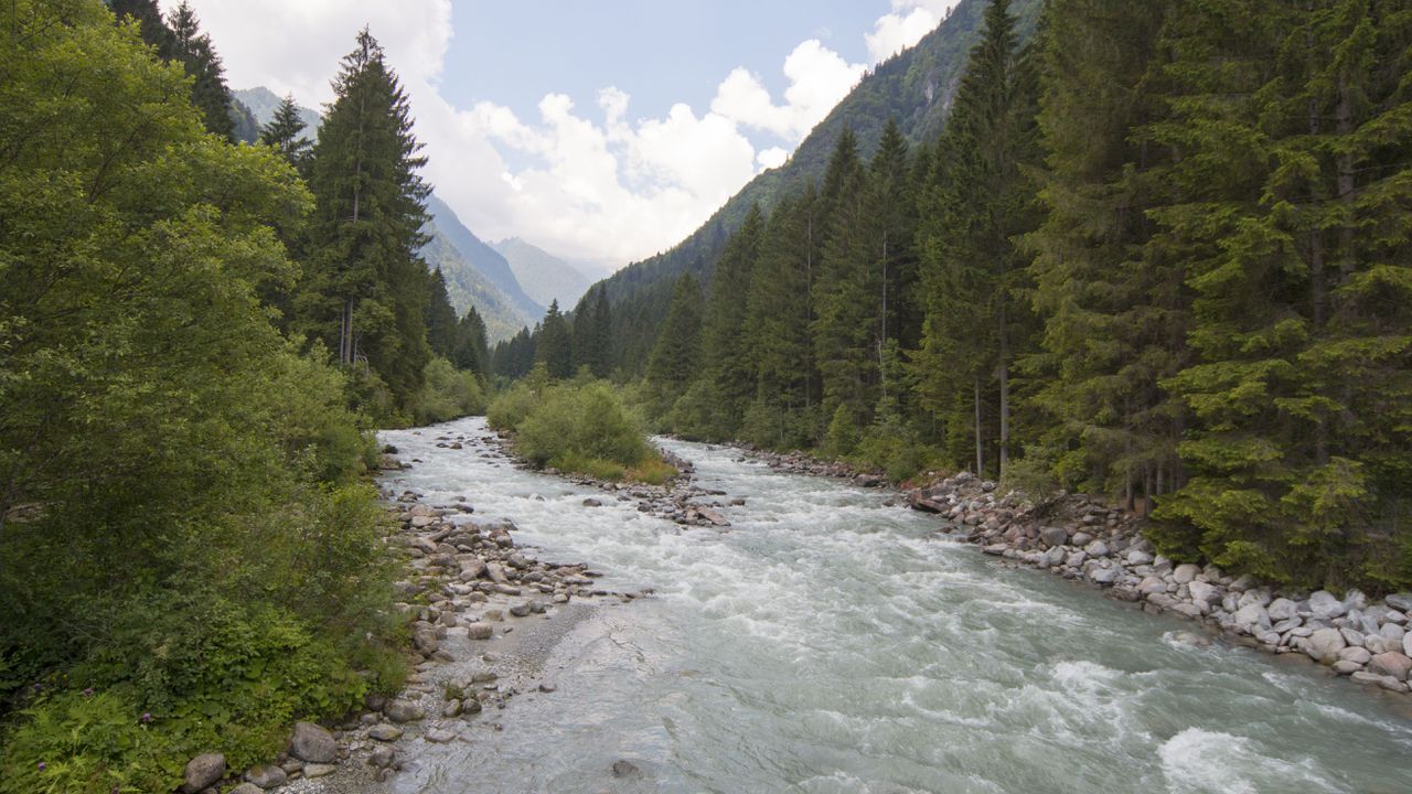 Според доклад на двете организации от 2024 г. на Балканите