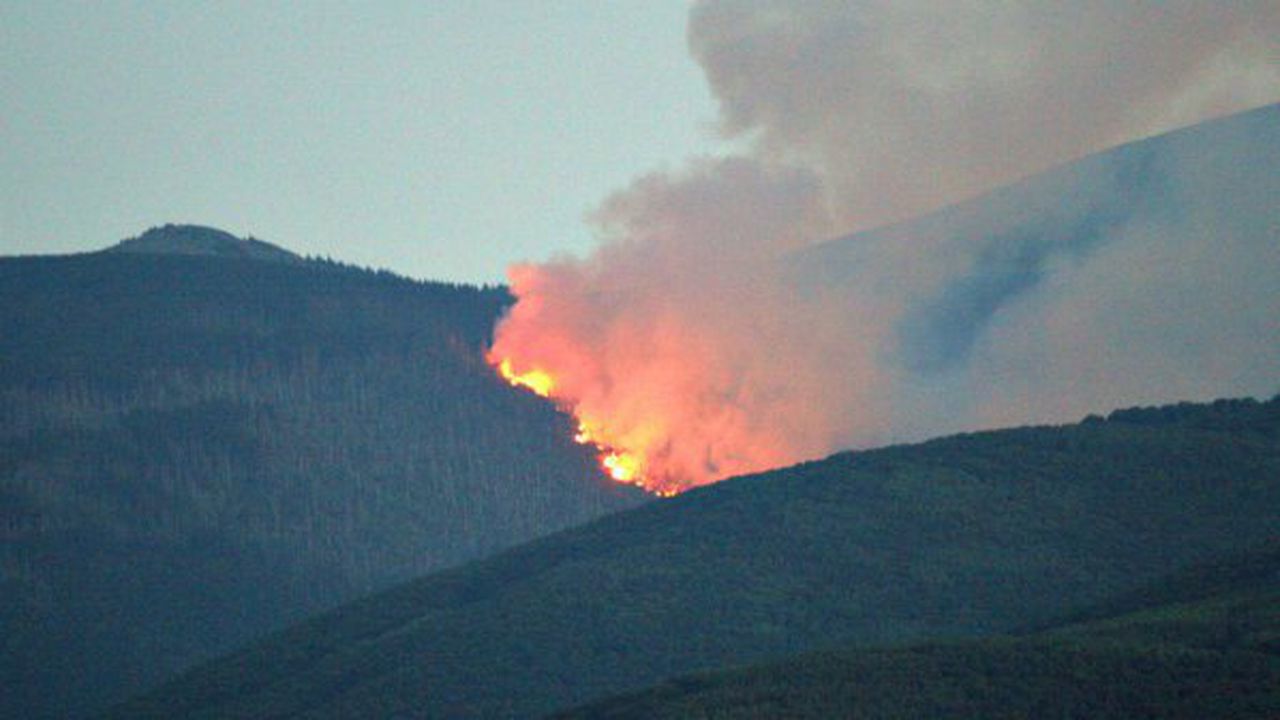Секат просеки, за да спасят Витоша от огъня