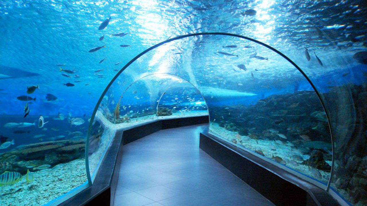 Бургас ще си има истинска тропическа гора и океанариум