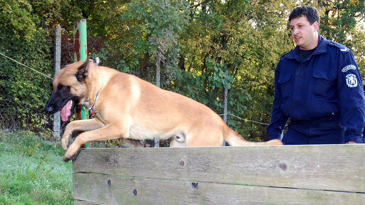 С помощта на полицейски кучета спасиха изгубено дете