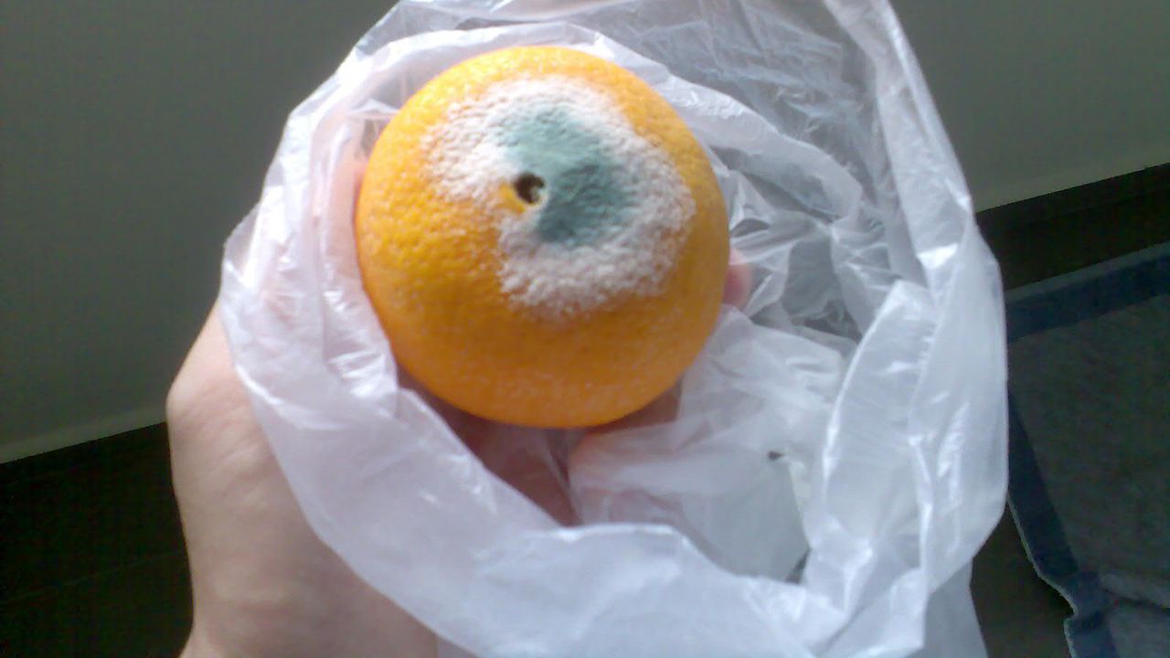 45 деца натровени във Франция