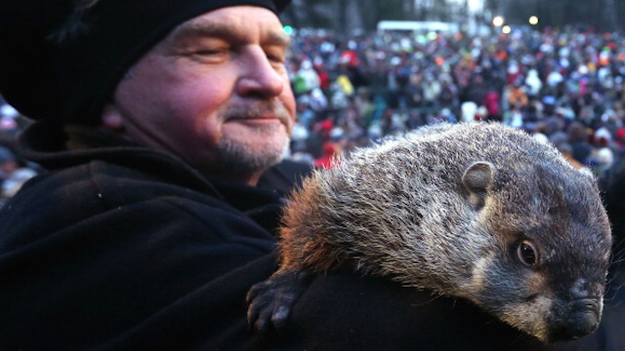 Мармотът Фил предсказа ранна пролет (снимки)