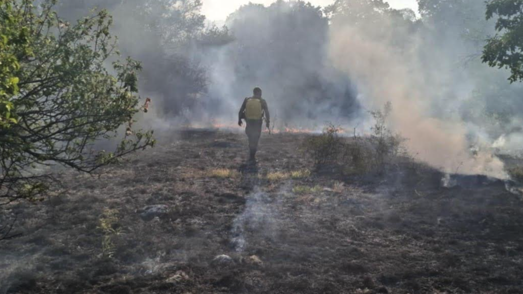 От 07.00 часа тази сутрин над 50 военнослужещи с 8