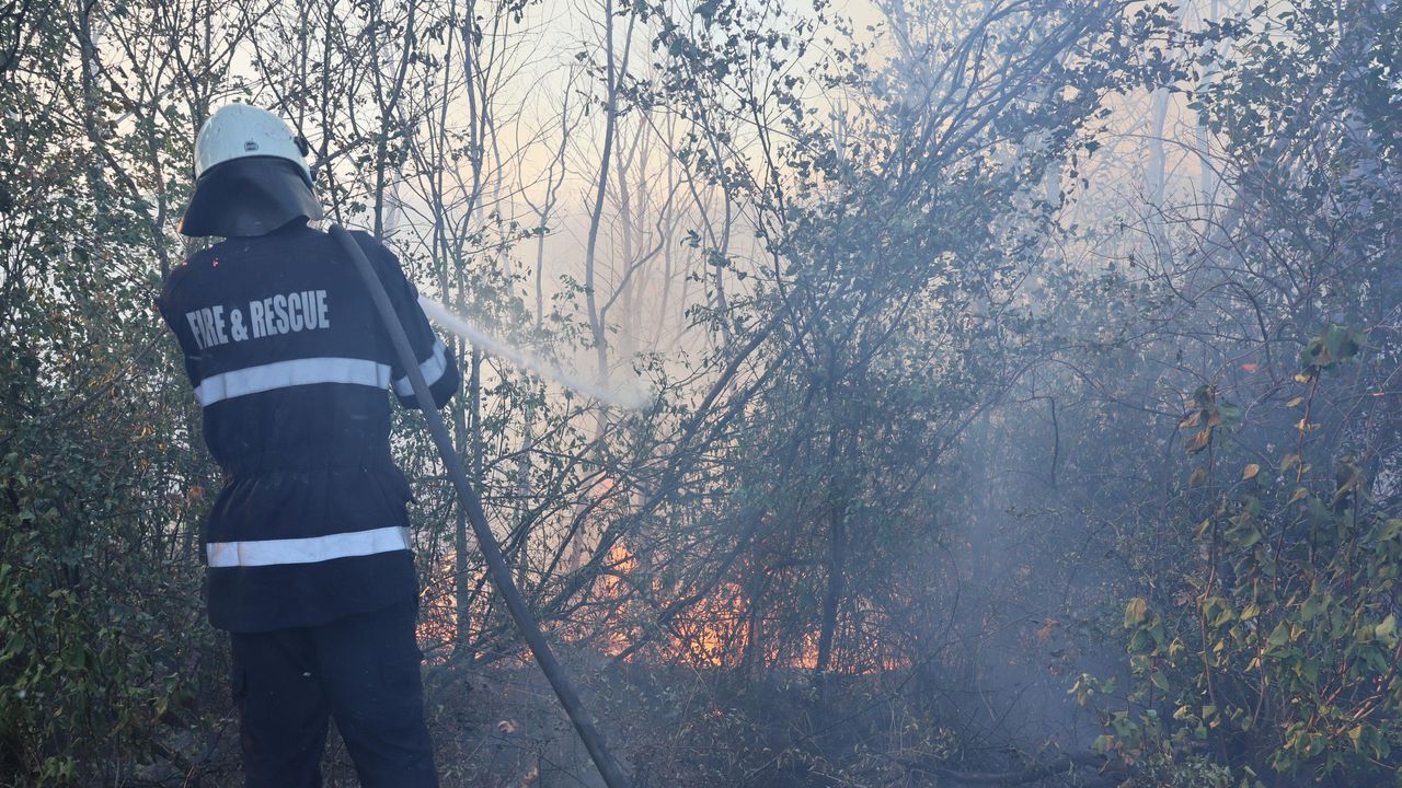 Пожар край село Камен връх, задействана е системата BG-ALERT