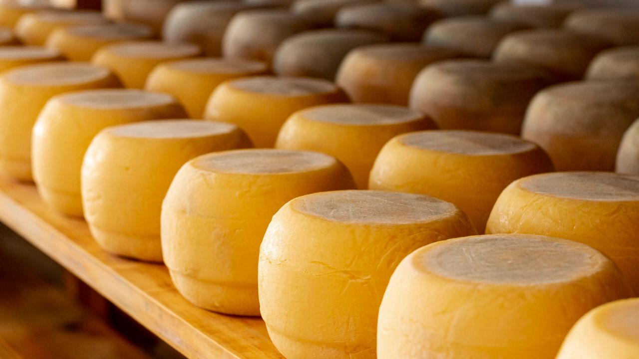 Съхранението на кашкавала често се подценява, а това е от