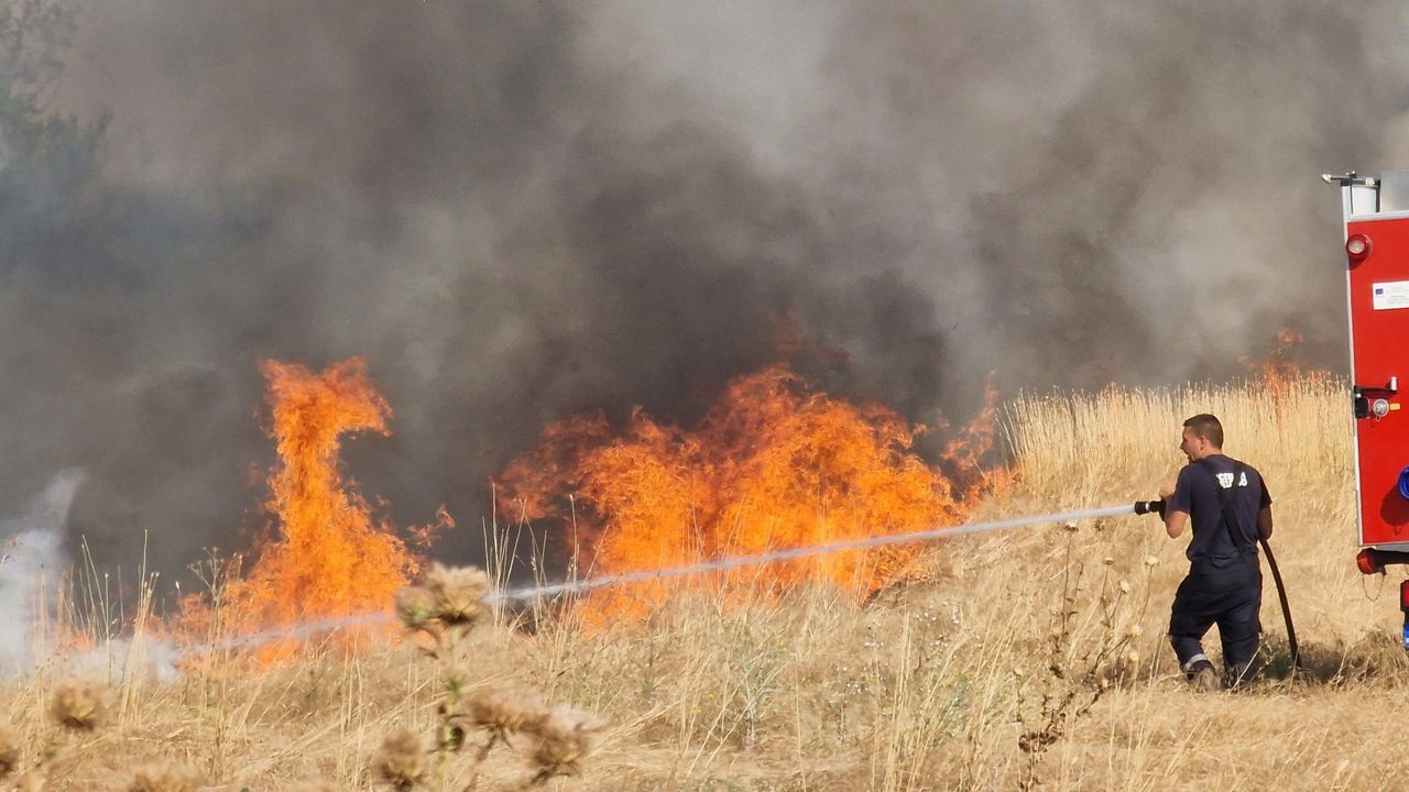 В селата Бездeн и Богьoвци пожарът е овладян, съобщи за