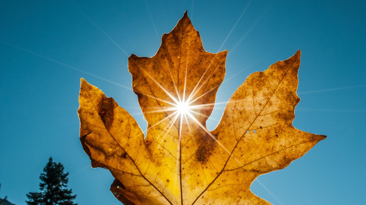 Ето какво ще бъде времето днес