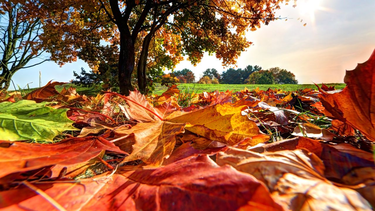 Предимно слънчево ще бъде днес