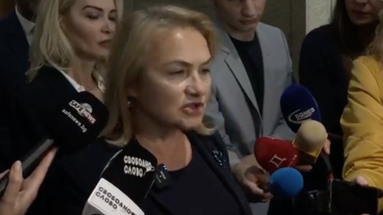 България не е на пътя на демокрацията, а на пътя