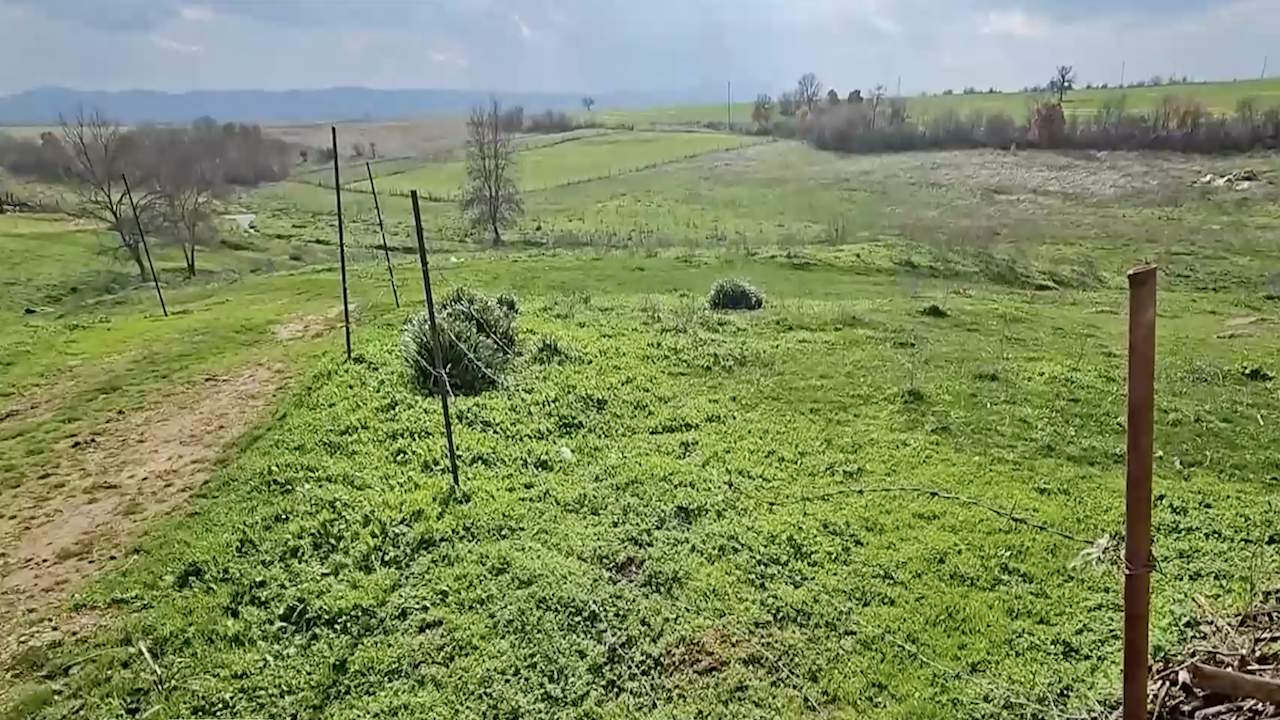 През годините е имало случаи, когато хората са се натъквали