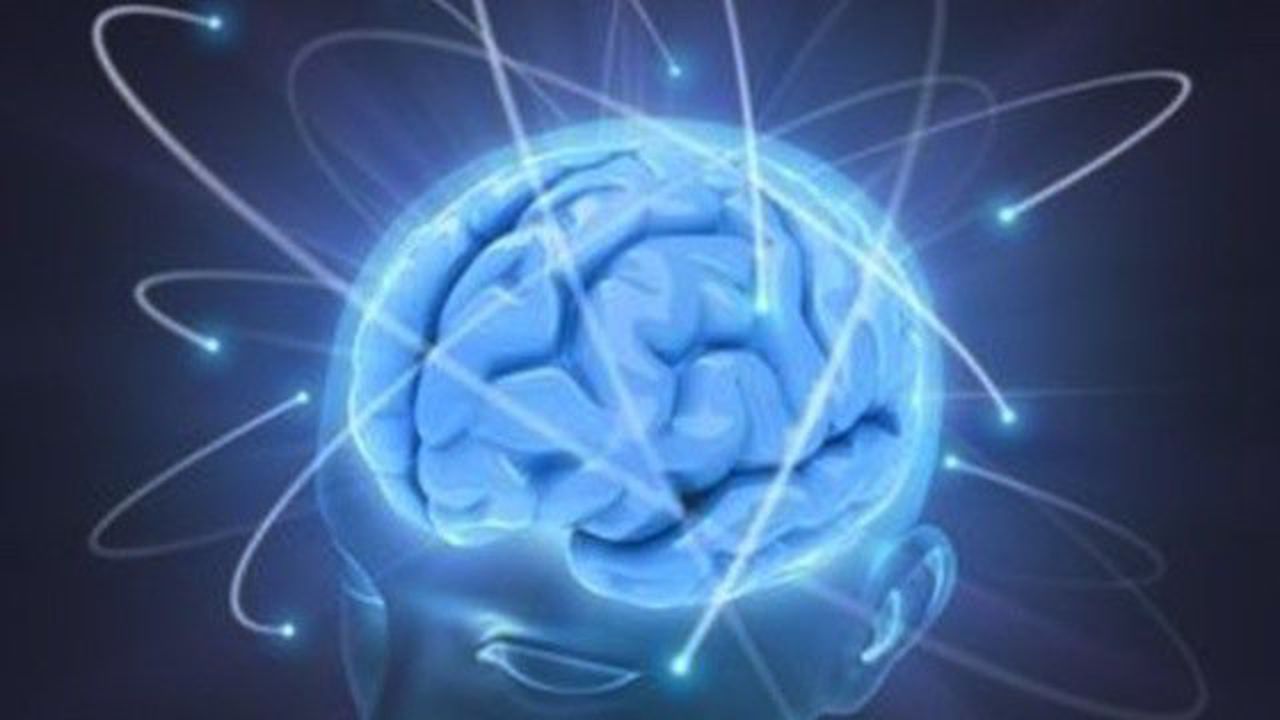 Учени разбраха как "да изключат" мозъка
