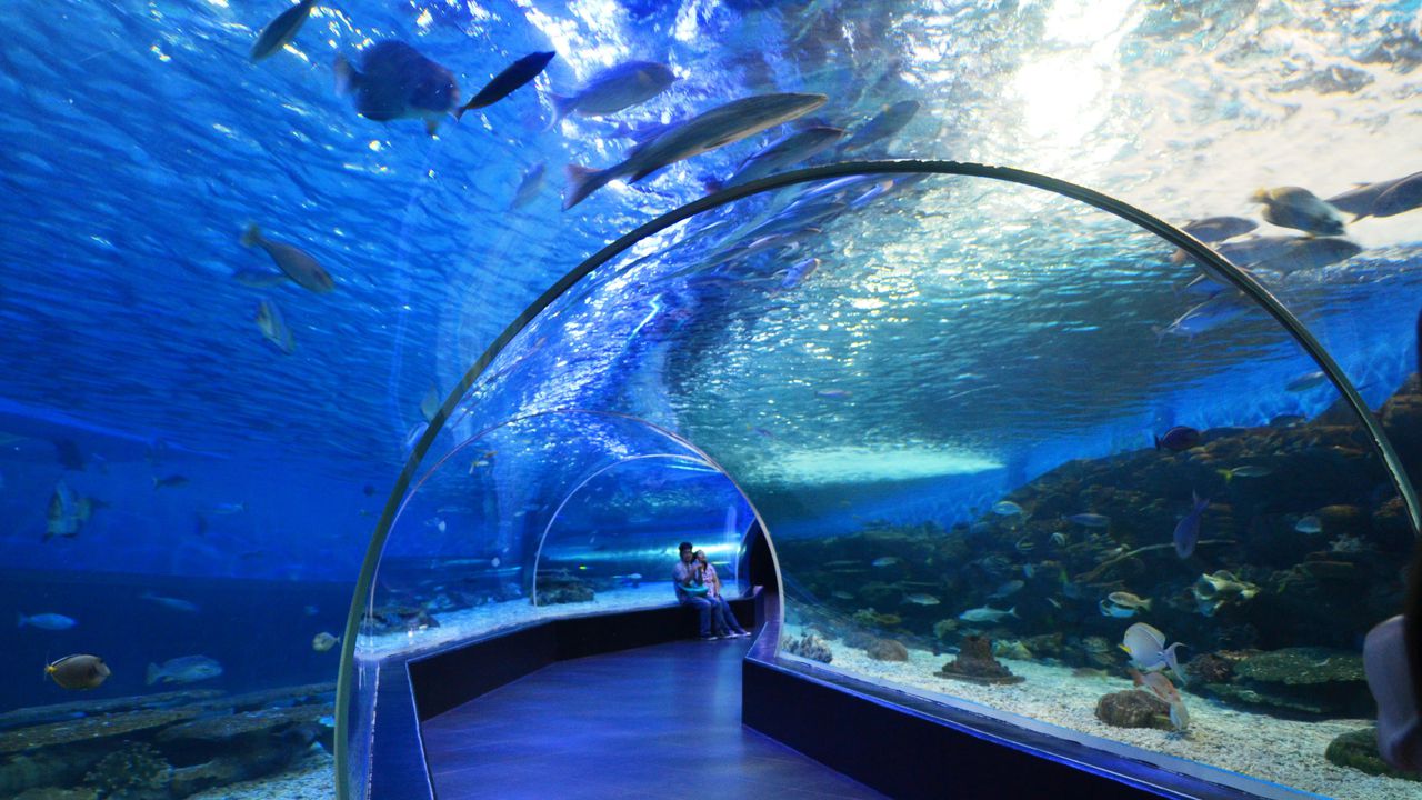 Бургас може да остане без Океанариум