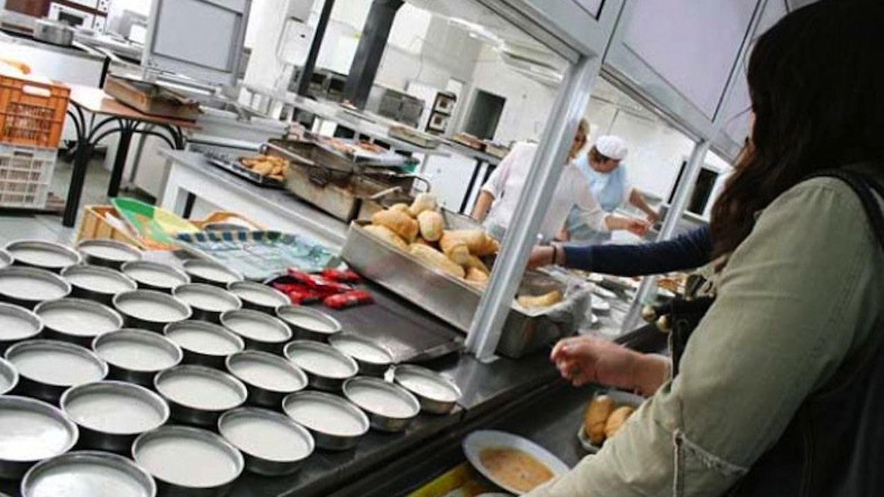 Млечните продукти в училищата - само по БДС