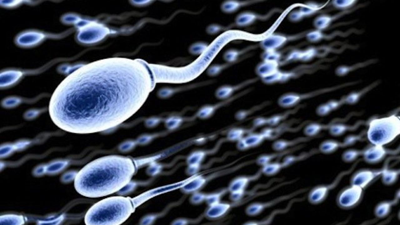 Машина събира сперма от срамежливи донори