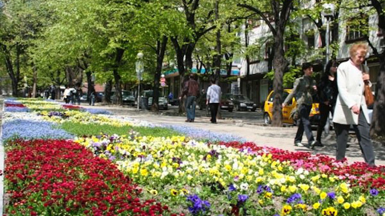 11 старозагорци отнесоха глоби, нарушавали обществения ред