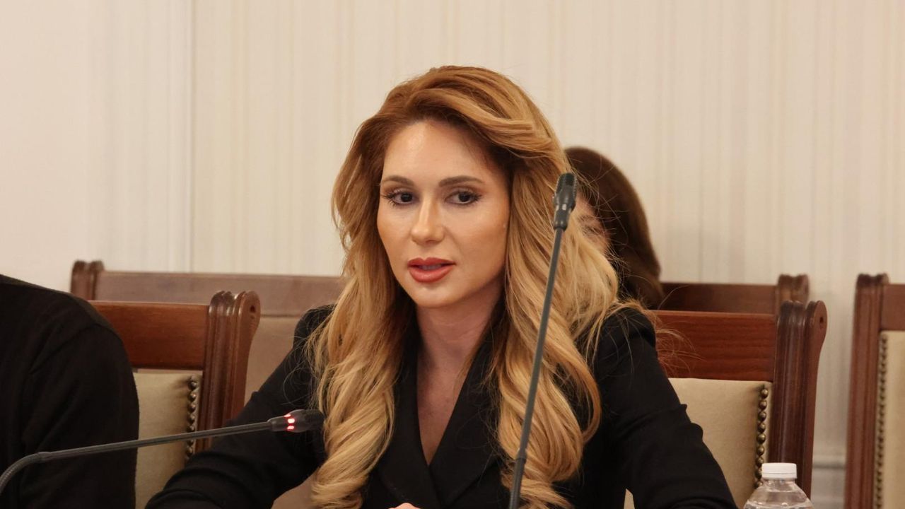 Комисията за прякото участие на гражданите, жалбите и взаимодействието с