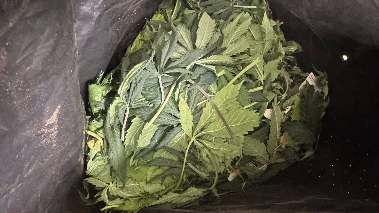 Хванаха млад мъж с близо 4 килограма марихуана