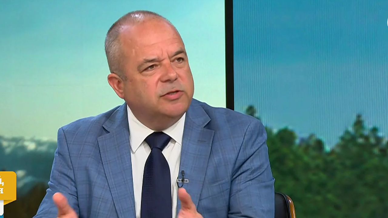 "Стена" срещу дронове: Експерти обясниха какво би представлявал този щит и защо политическото решение за него е ключово