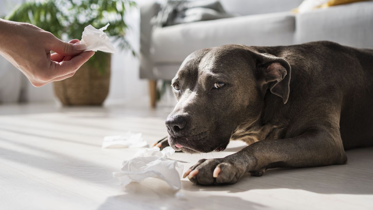 Науката е един от най-могъщите инструменти, с които човечеството разполага.