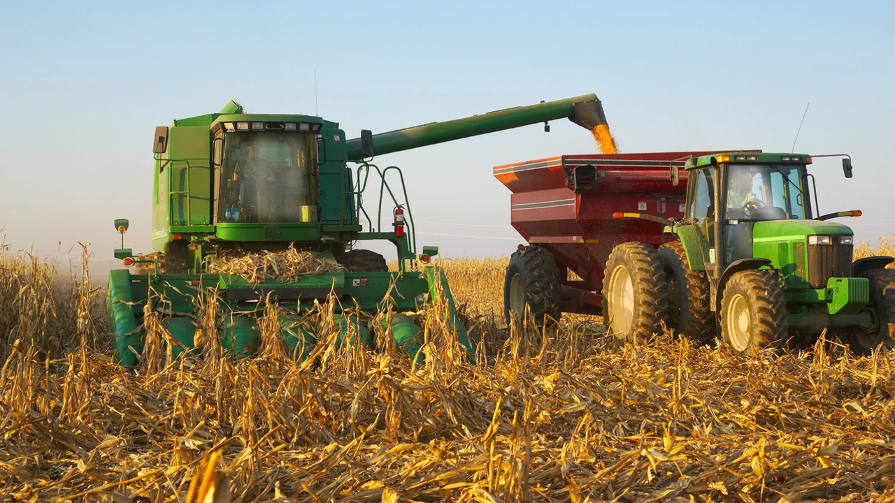 Традиционно за региона най-висок дял имат площите с пшеница, като и