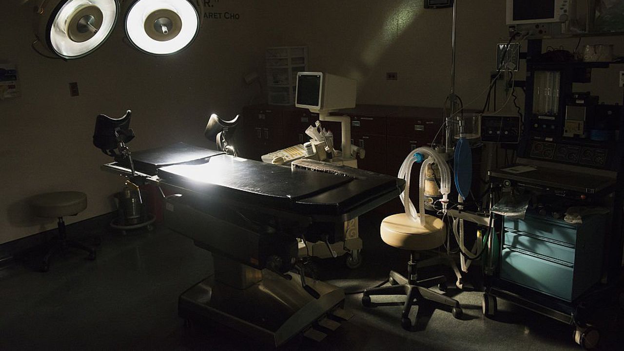 Защо повечето хора мислят, че плодът е безчуствен?