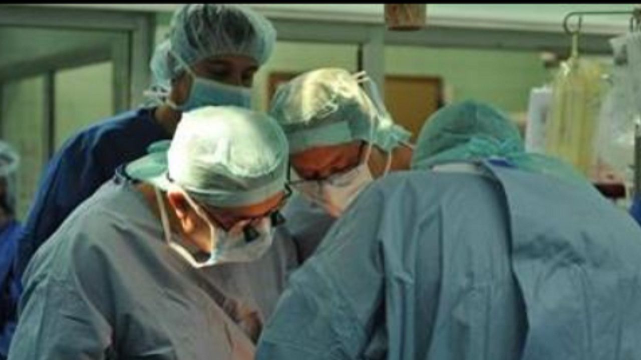 ВМА ще си сътрудничи с италиански хирурзи