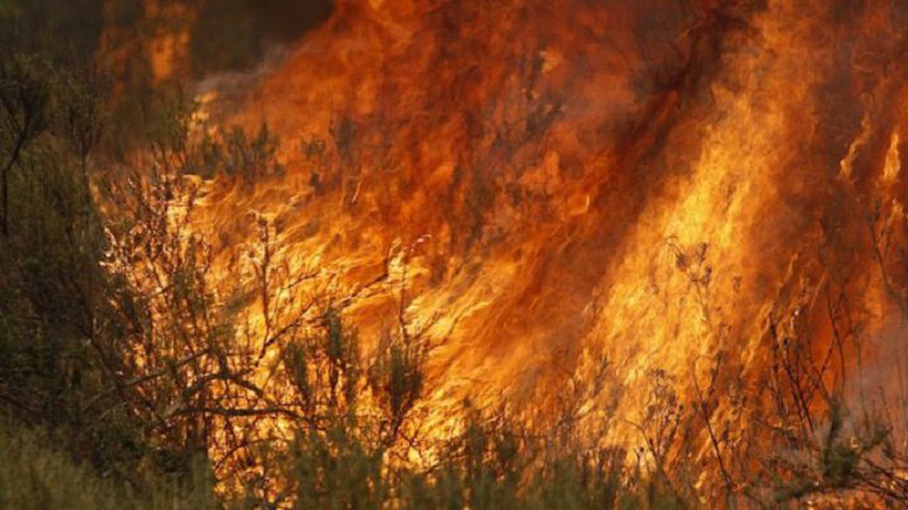 Мъж подпали чужда кошара