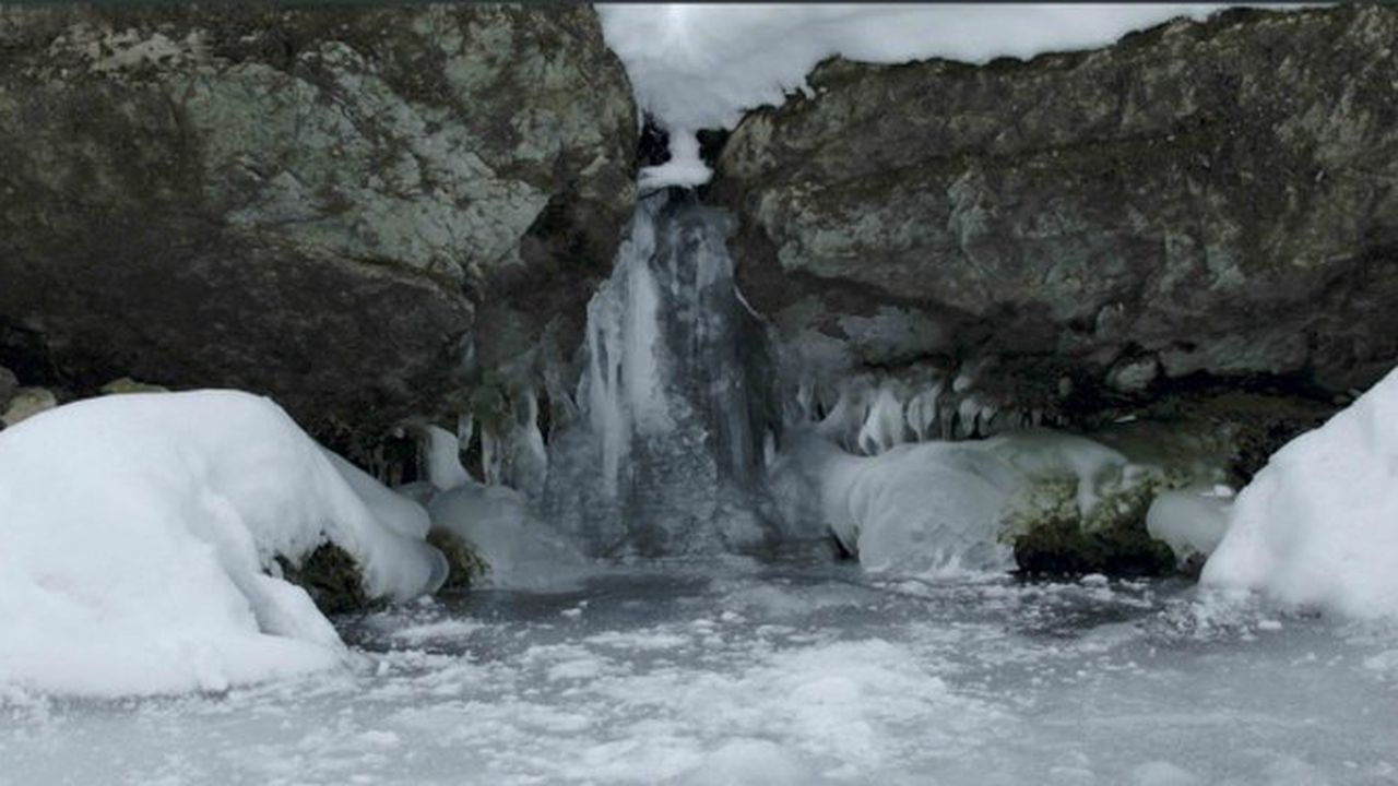 “Воден проект” пренесе звука на живата природа в Двореца