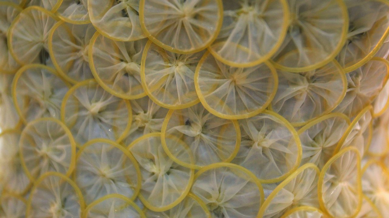 Даскали се биха заради кражба на кондом