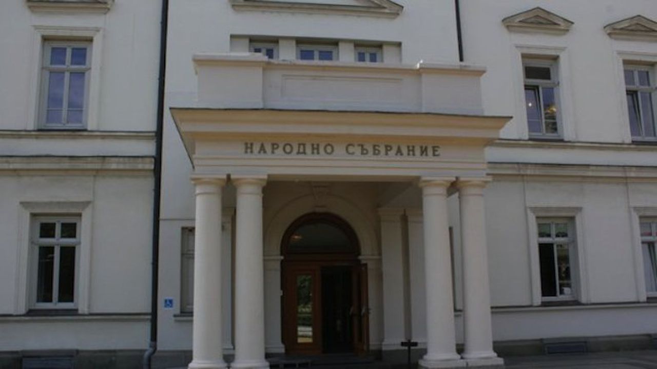 От ДПС предлагат да има камери във всяка изборна секция