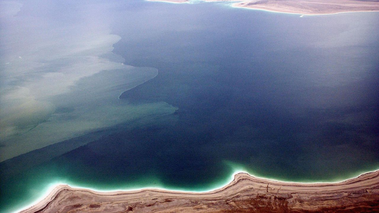 Какви създания живеят в Мъртво море?